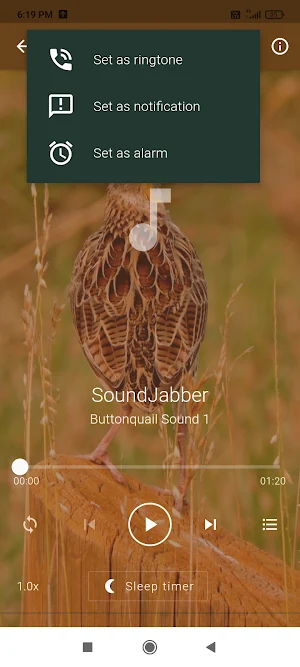 Buttonquail Sounds Screenshot 3