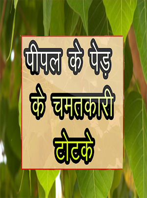 पीपल के पेड़ के टोटके Screenshot 0