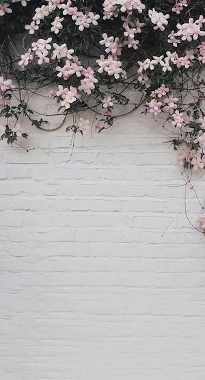 wall wallpaper Screenshot 0