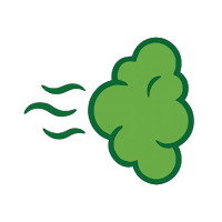 Renzo