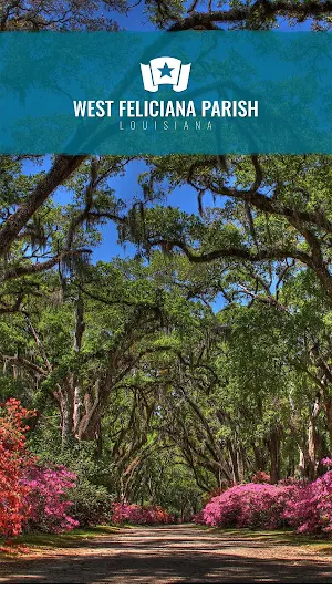 WestFel Screenshot 0