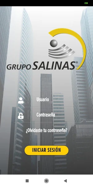 FR Grupo Salinas Screenshot 0