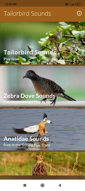 Tailorbird Sounds Screenshot 0