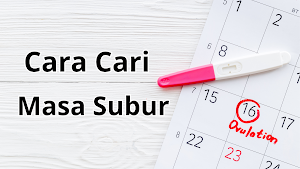 Cara Cari Masa Subur Screenshot 0