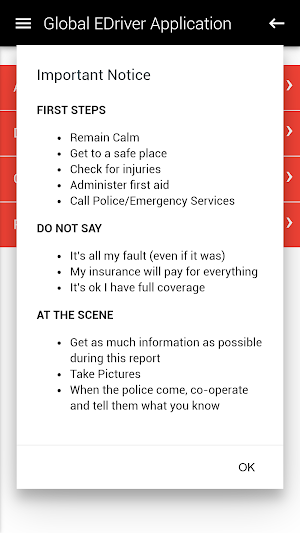 Global E-Driver Screenshot 3