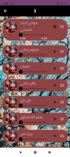 مولاي احمد الحسني بدون نت Screenshot 3