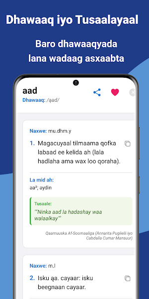 Qalinqaad Screenshot 3