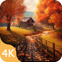 Autumn Wallpapers in 4K & HD