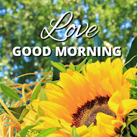 Good morning love sunflowers