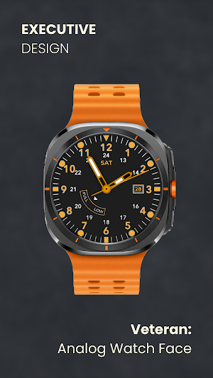 Veteran: Analog Watch Face Screenshot 1