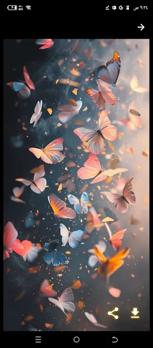 خلفيات فراشة Screenshot 3