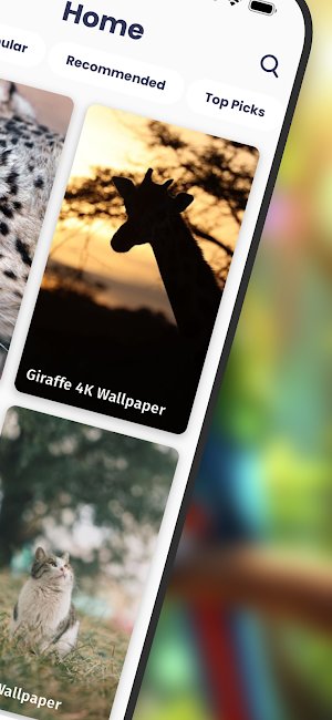 Animal Wallpapers HD | 4K Screenshot 2