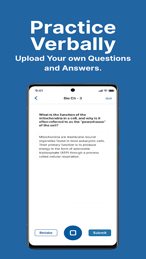 Verbal quiz Screenshot 3