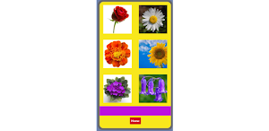 Flower Spell Screenshot 3