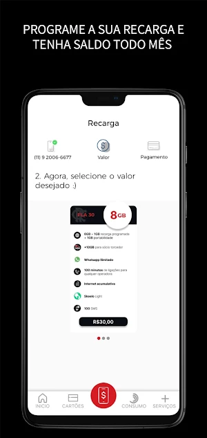 FlaChip Screenshot 1
