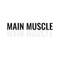 MAIN MUSCLE