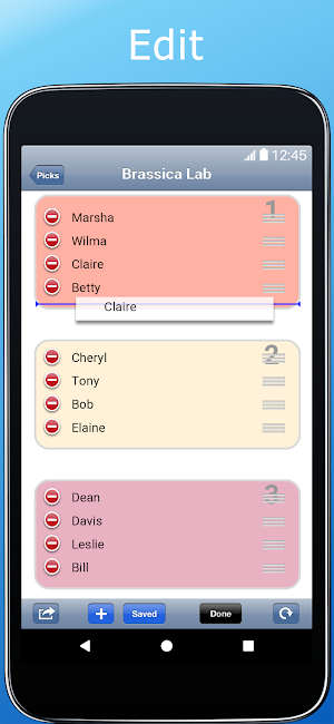 RandoMeister Screenshot 3