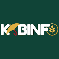 KEBINFO