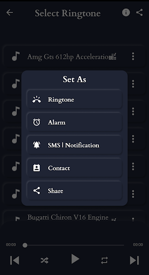Supercar Sounds Screenshot 2