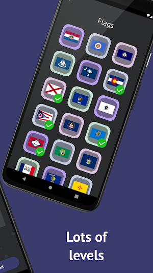 US States Flag and Shape Quiz Screenshot 1