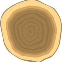 Timber