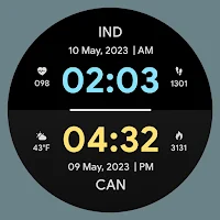 Dual Time Watch Faces