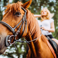 Horseback Riding Wallpaper