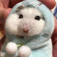 Hamster Gerbil Sounds