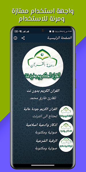القران طارق محمد بدون نت Screenshot 1