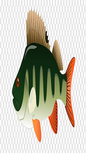 What a Fish Screenshot 1