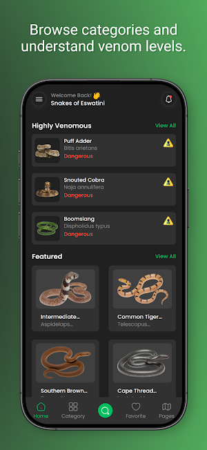 Snakes Of Eswatini Screenshot 3