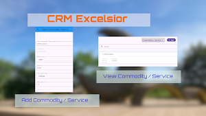 CRM Excelsior Screenshot 2