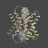 MacromoleculAR