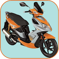 Двигатель скутера  Stels Skif