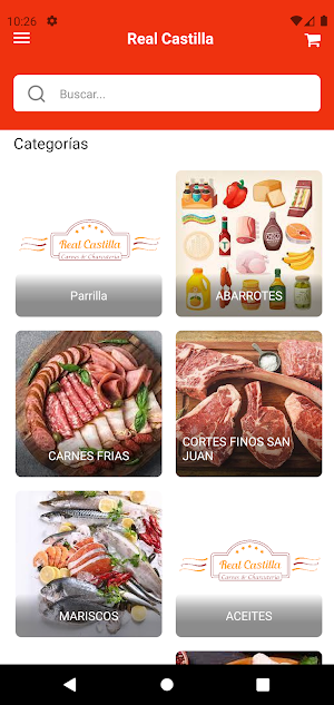 Real Castilla Screenshot 3