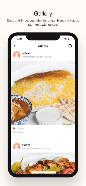 Mediterranean House of Kabob Screenshot 3
