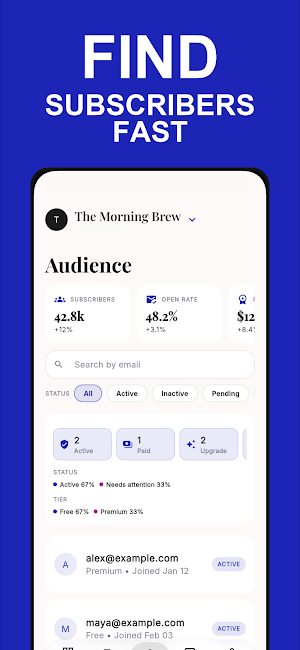 Beehiiv Manager - bvDash Screenshot 2