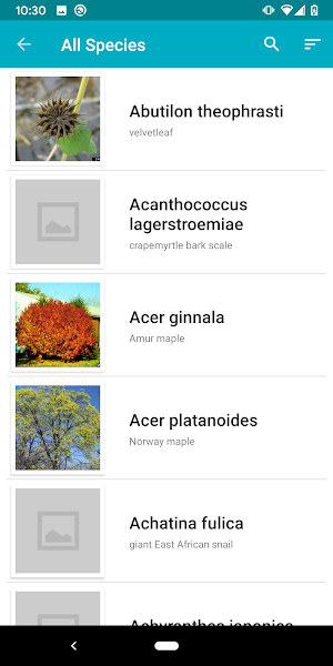 EDDMapS Screenshot 1