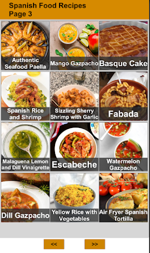 Spanish Food : Offline Recipes Screenshot 2