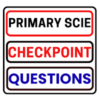 Checkpoint Yr6 Science Topical