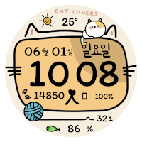 NW101한글: DIgital watch face