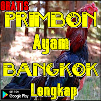 Primbon Ayam Bangkok Lengkap