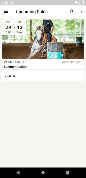 Rocking Z Horses Screenshot 0