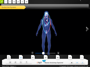 HumanAnatomy-Endocrine System Screenshot 1