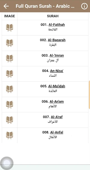 هاني الرفاعي قرآن كريم بدون نت Screenshot 3
