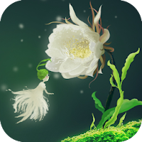 Cactus Flower Live Wallpaper