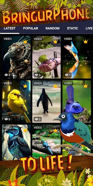 bird wallpaper Screenshot 1