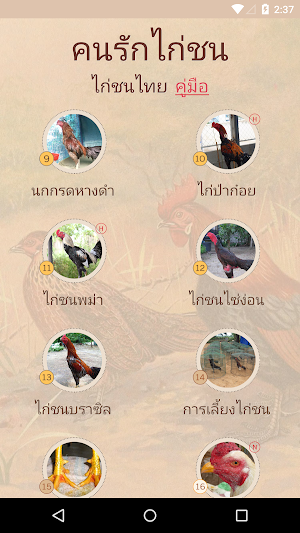 คู่มือไก่ชน Screenshot 1