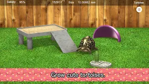Tortoise to grow relaxedly Screenshot 0