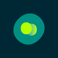 OneVGF
